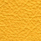 1115-yellow.jpg
